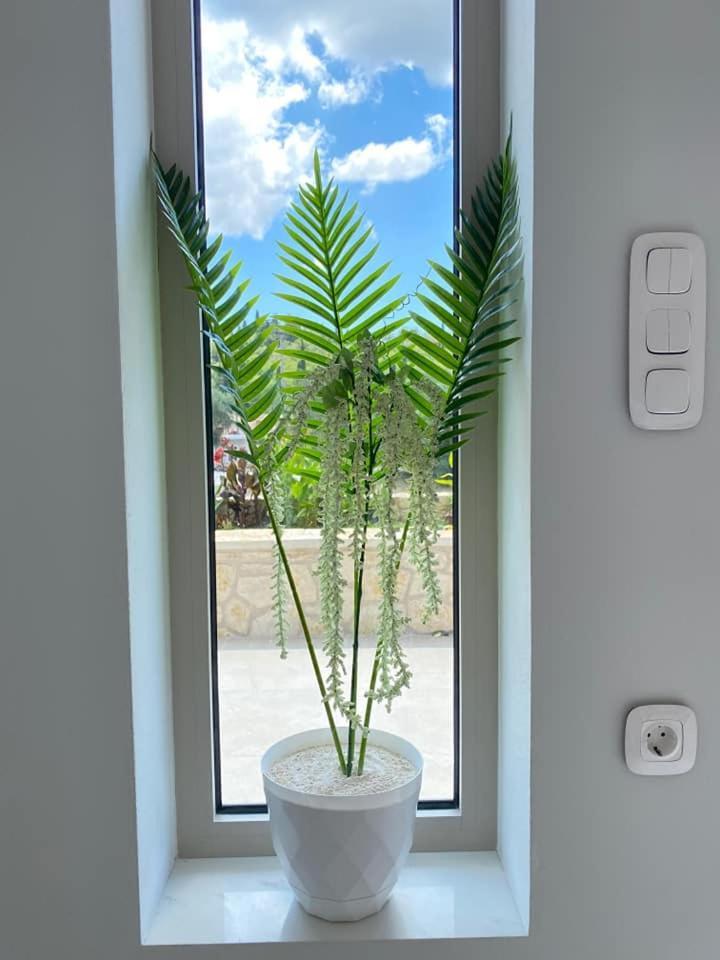 Grey Luxury House Apartment Ipsos Luaran gambar